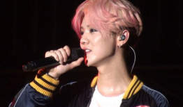 鹿晗爆料吃瓜事件视频全集,吃瓜事件视频全集深度解析